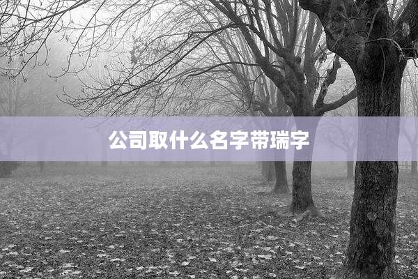 公司取什么名字带瑞字