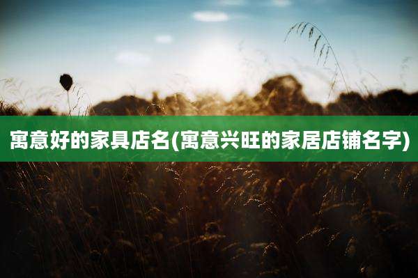 寓意好的家具店名(寓意兴旺的家居店铺名字)