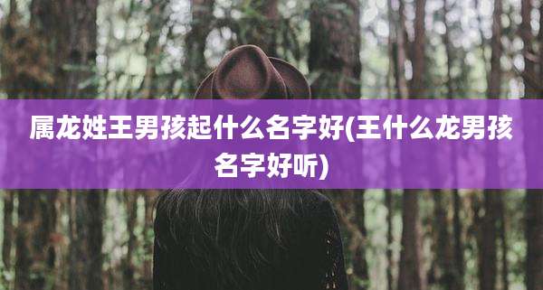 属龙姓王男孩起什么名字好(王什么龙男孩名字好听)