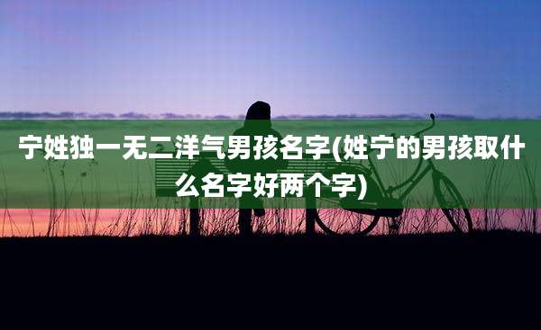 宁姓独一无二洋气男孩名字(姓宁的男孩取什么名字好两个字)