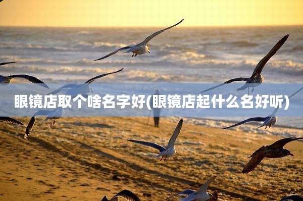 眼镜店取个啥名字好(眼镜店起什么名好听)