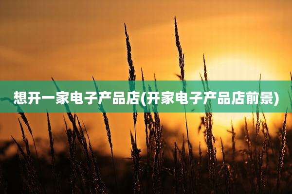 想开一家电子产品店(开家电子产品店前景)
