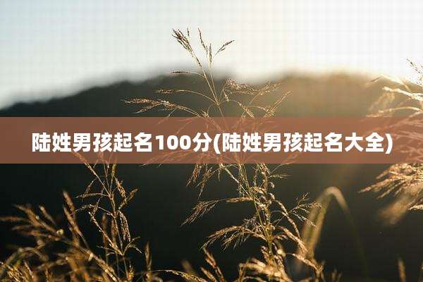 陆姓男孩起名100分(陆姓男孩起名大全)
