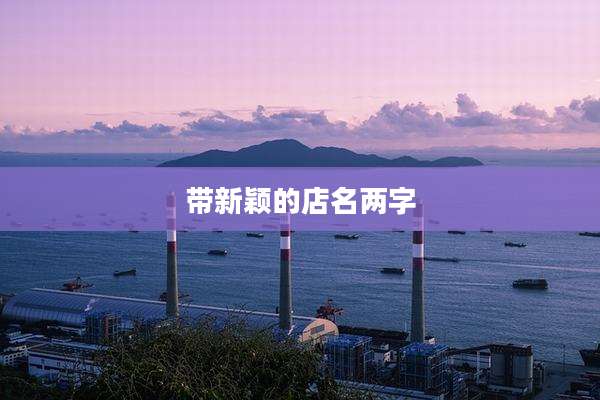 带新颖的店名两字