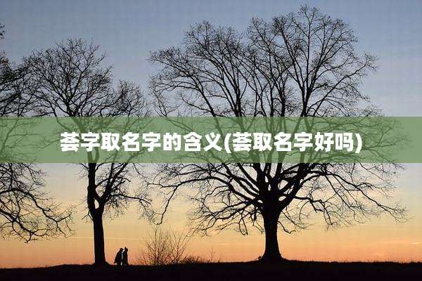 荟字取名字的含义(荟取名字好吗)