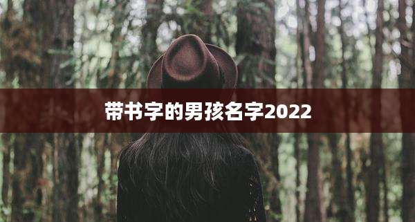 带书字的男孩名字2022