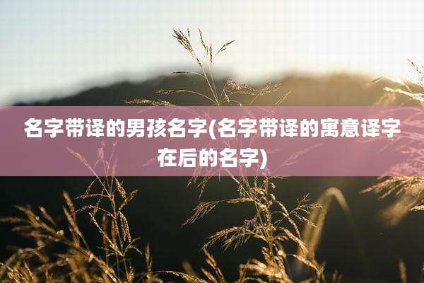 名字带译的男孩名字(名字带译的寓意译字在后的名字)
