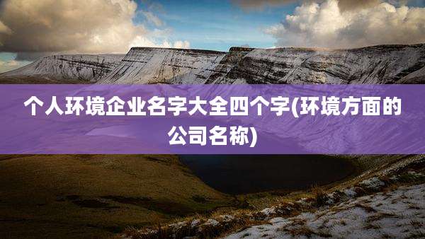 个人环境企业名字大全四个字(环境方面的公司名称)