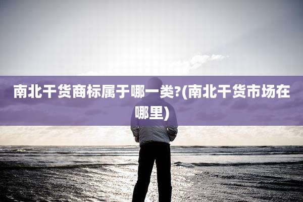 南北干货商标属于哪一类?(南北干货市场在哪里)