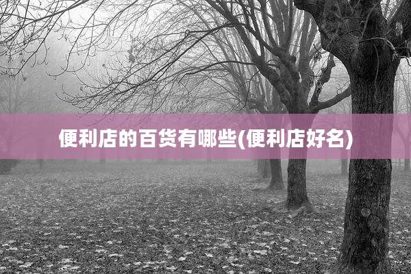 便利店的百货有哪些(便利店好名)