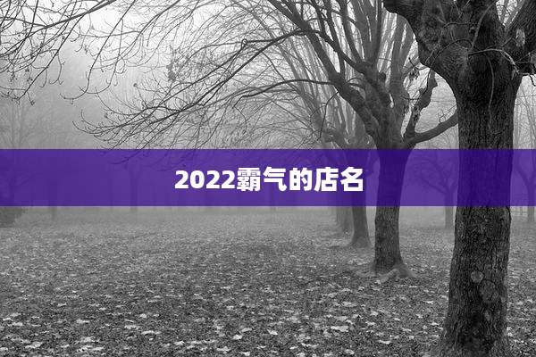 2022霸气的店名