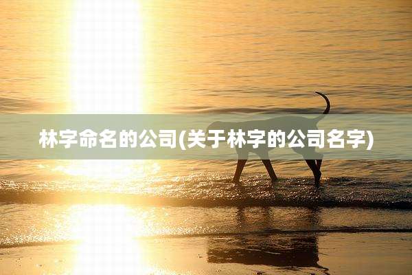 林字命名的公司(关于林字的公司名字)