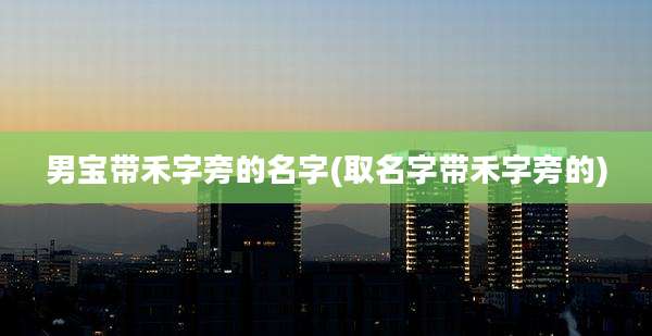 男宝带禾字旁的名字(取名字带禾字旁的)