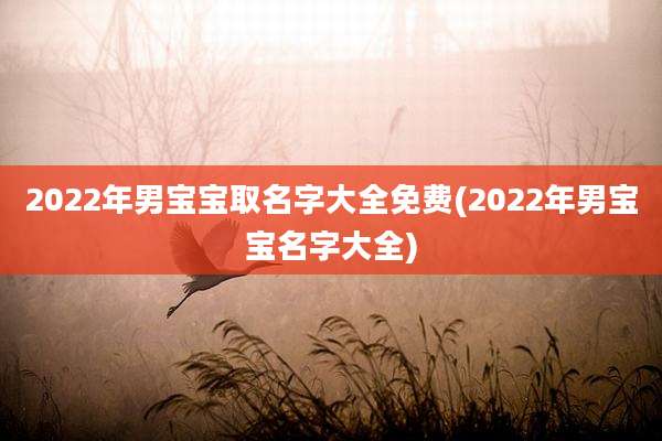 2022年男宝宝取名字大全免费(2022年男宝宝名字大全)