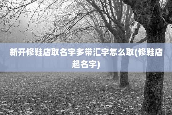 新开修鞋店取名字多带汇字怎么取(修鞋店起名字)