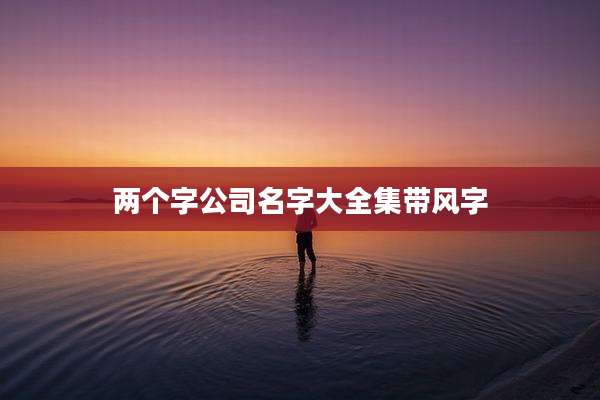 两个字公司名字大全集带风字