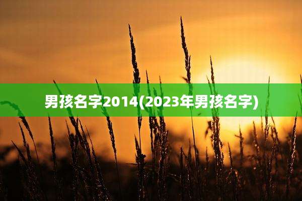 男孩名字2014(2023年男孩名字)