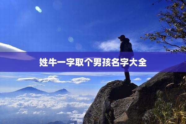 姓牛一字取个男孩名字大全