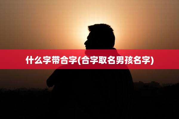 什么字带合字(合字取名男孩名字)
