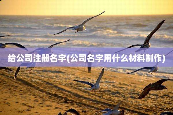给公司注册名字(公司名字用什么材料制作)