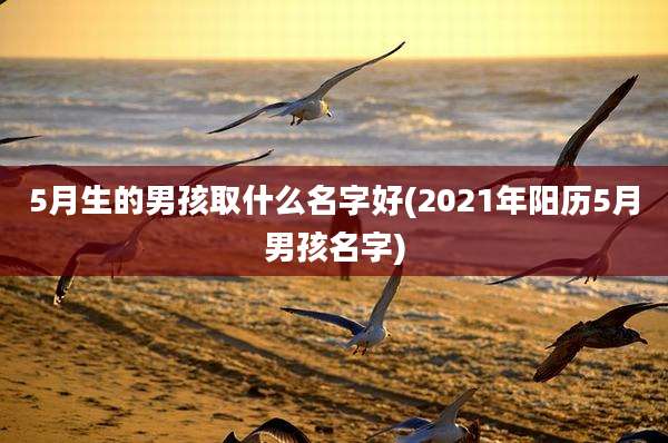5月生的男孩取什么名字好(2021年阳历5月男孩名字)