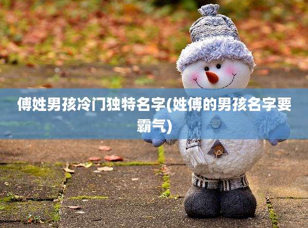 傅姓男孩冷门独特名字(姓傅的男孩名字要霸气)