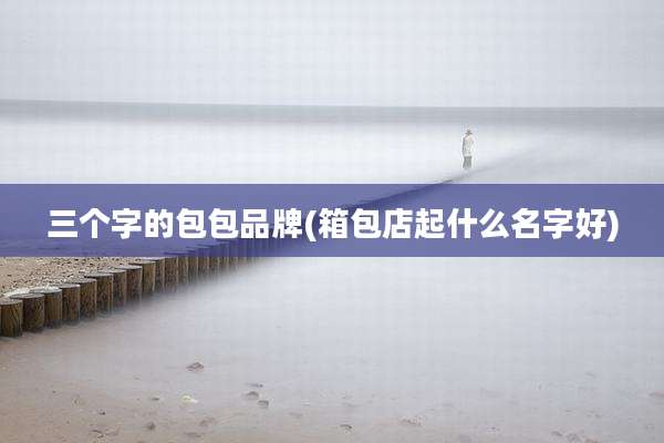 三个字的包包品牌(箱包店起什么名字好)