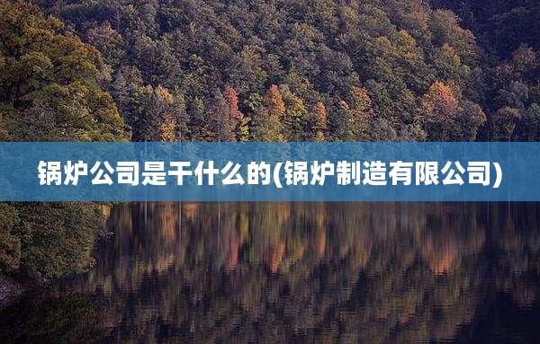 锅炉公司是干什么的(锅炉制造有限公司)