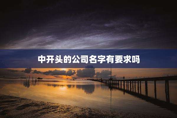 中开头的公司名字有要求吗
