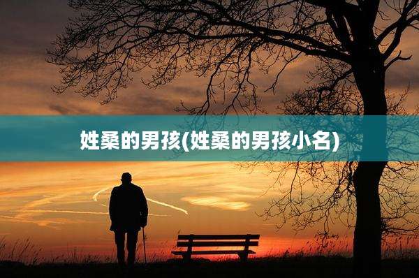 姓桑的男孩(姓桑的男孩小名)