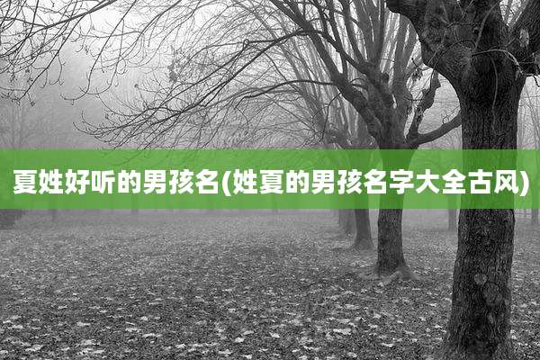 夏姓好听的男孩名(姓夏的男孩名字大全古风)