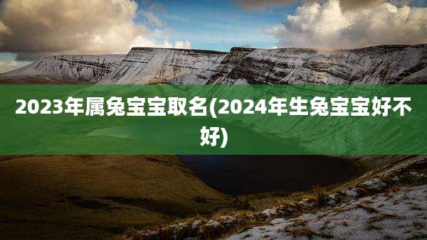 2023年属兔宝宝取名(2024年生兔宝宝好不好)