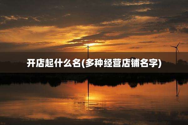 开店起什么名(多种经营店铺名字)