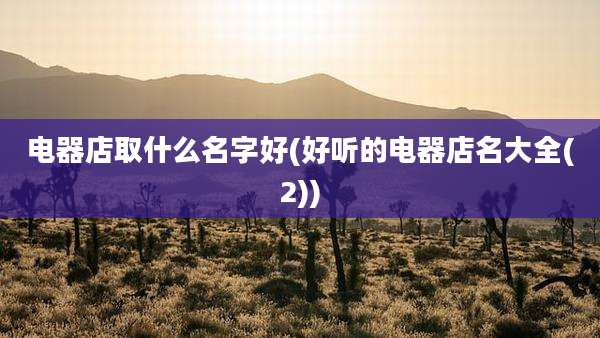 电器店取什么名字好(好听的电器店名大全(2))
