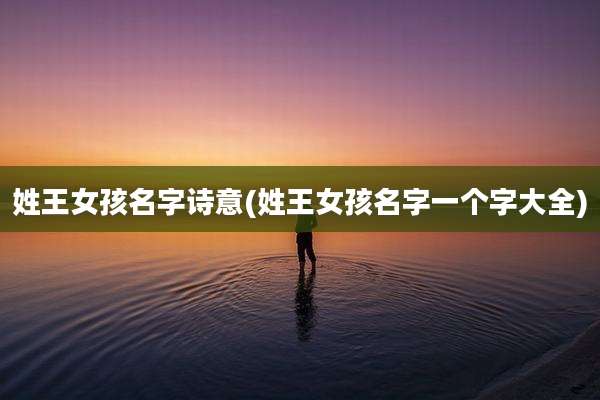 姓王女孩名字诗意(姓王女孩名字一个字大全)