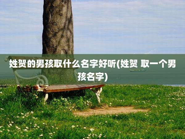 姓贺的男孩取什么名字好听(姓贺 取一个男孩名字)