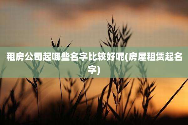 租房公司起哪些名字比较好呢(房屋租赁起名字)