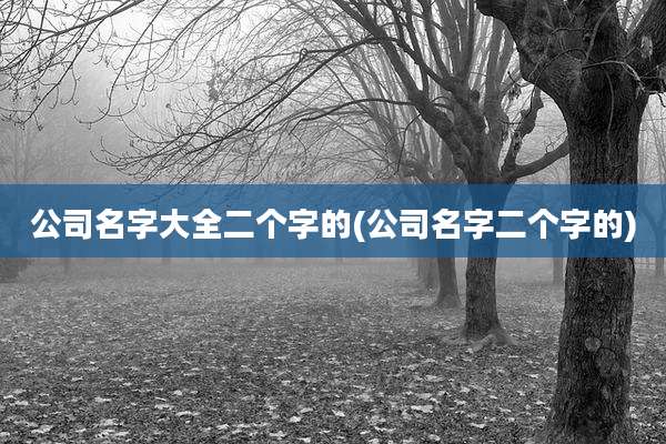 公司名字大全二个字的(公司名字二个字的)
