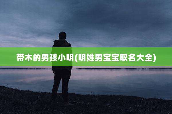 带木的男孩小明(明姓男宝宝取名大全)
