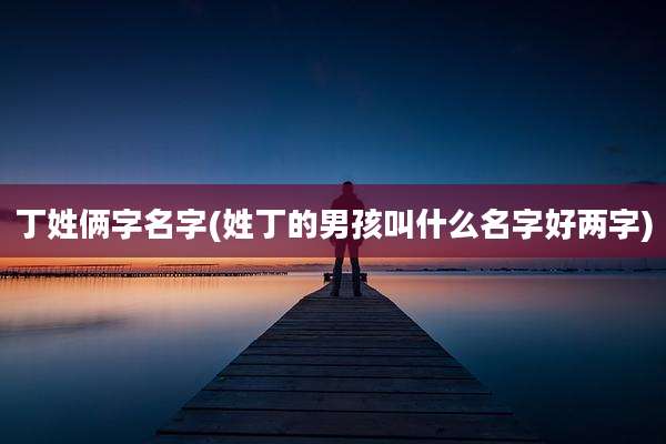 丁姓俩字名字(姓丁的男孩叫什么名字好两字)