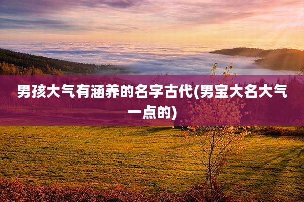 男孩大气有涵养的名字古代(男宝大名大气一点的)