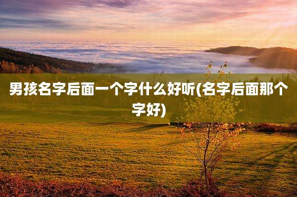 男孩名字后面一个字什么好听(名字后面那个字好)