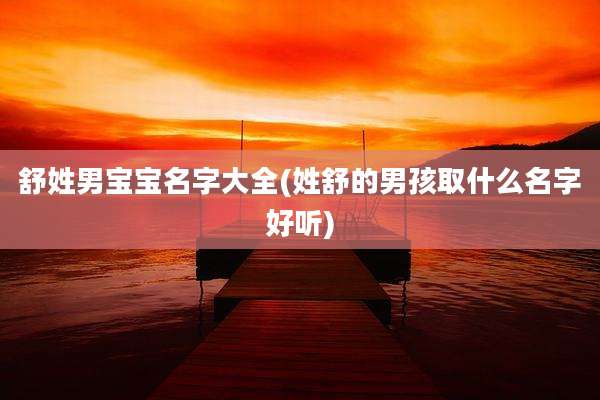 舒姓男宝宝名字大全(姓舒的男孩取什么名字好听)