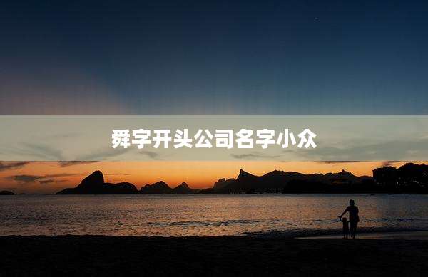 舜字开头公司名字小众
