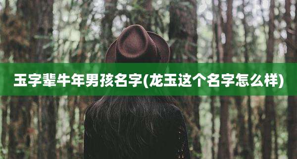 玉字辈牛年男孩名字(龙玉这个名字怎么样)