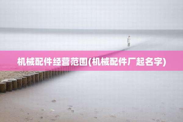 机械配件经营范围(机械配件厂起名字)