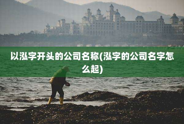 以泓字开头的公司名称(泓字的公司名字怎么起)