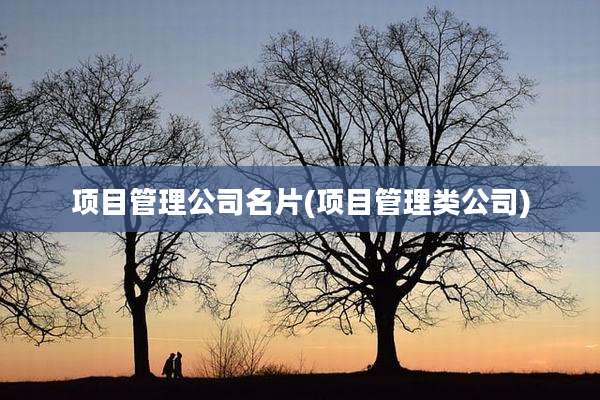 项目管理公司名片(项目管理类公司)