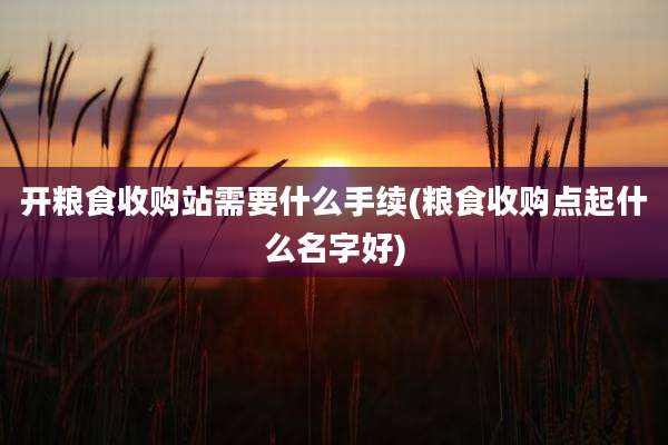 开粮食收购站需要什么手续(粮食收购点起什么名字好)