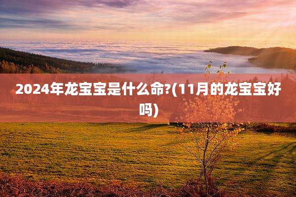 2024年龙宝宝是什么命?(11月的龙宝宝好吗)